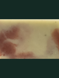 Goat Milk Soap